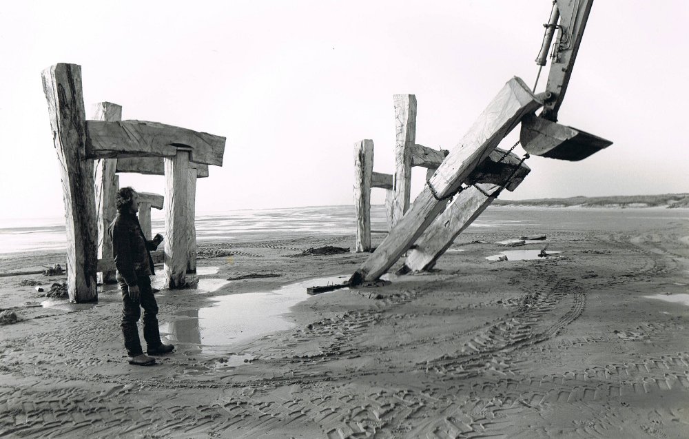 Paarden Terschelling 3