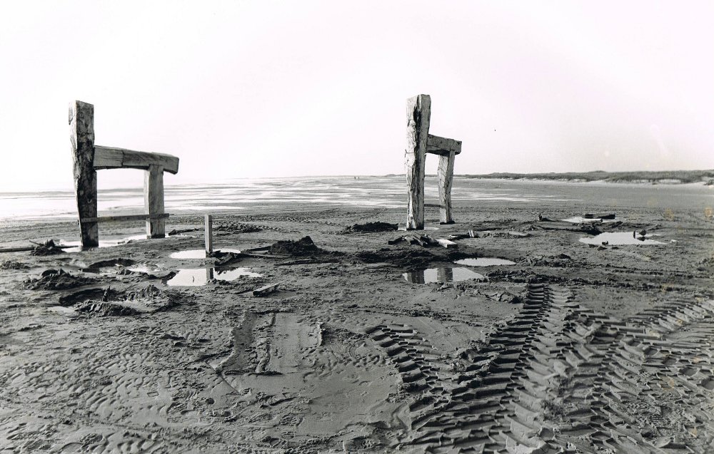 Paarden Terschelling 4